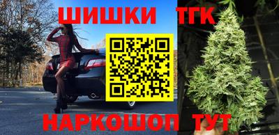 spice Кингисепп